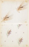 Lot 155 - A swatchbook of printed cottons, organdies,...