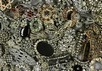 Lot 29 - A group of costume jewellery, approx....