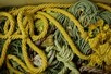Lot 82 - A large group of braids, ropes, tie-backs and...