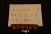 Lot 49 - A good display card of ivory and bone buttons,...