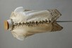 Lot 121 - An elaborately embroidered ivory satin...