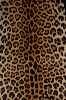 Lot 178 - A leopard skin coat, circa 1965, with black...