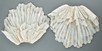Lot 51 - A rare pair of whiteworked muslin double...