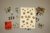 Lot 229 - A group of metal buttons, on display board and...