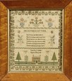 Lot 17 - `The Shortness of Time' by Jane Ann Appleby,...