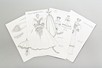 Lot 240 - Five Elizabeth Emanuel pencil sketches...