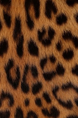 Lot 62 - A leopard skin jacket, 1960s, lined in brown...