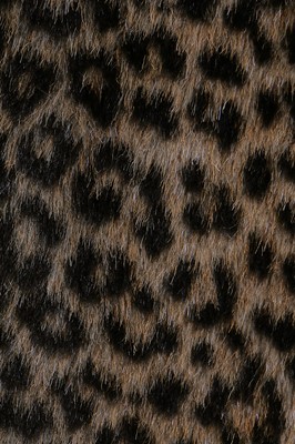 Lot 211 - An Azzedine Alaïa faux leopard-fur plush coat, probably Autumn-Winter 1991-92
