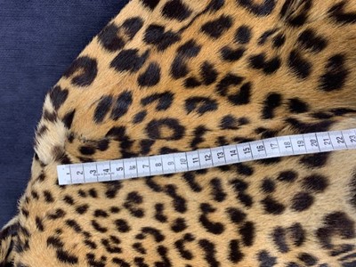 Lot 32 - A leopard skin coat, 1950s