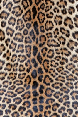 Lot 32 - A leopard skin coat, 1950s