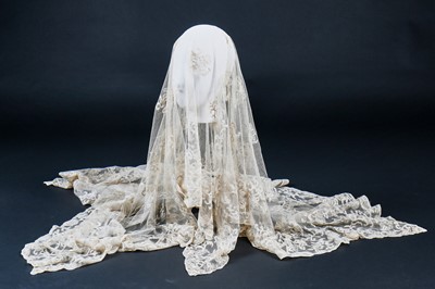 Lot 261 - A needlerun lace veil, 19th century