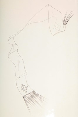 Lot 229 - Line drawings for John Galliano's 'Hairclips' collection, Autumn-Winter 1988-89