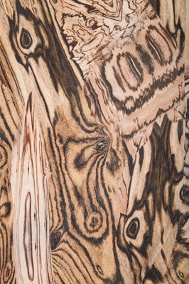 Lot 428 - An Alexander McQueen wood grain-print dress, 'Natural Dis-tinction, Un-Natural Selection', Spring-Summer 2009