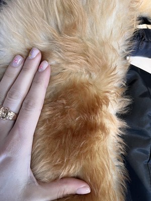 Lot 256 - A Madeleine Vramant  black wool coat, late 1960s