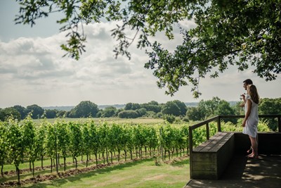 Lot 99 - The Gallivant Hotel & Gusbourne estate luxury stay and wine tasting experience, East Sussex