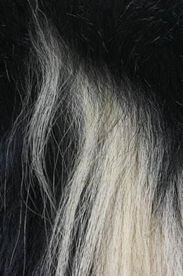 Lot 252 - A black and white monkey fur capelet, colobus...