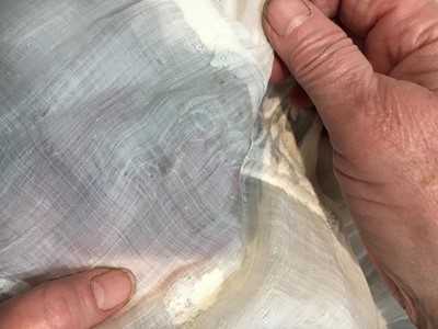 Lot 41 - A whitework embroidered muslin dress with trained hem, French, circa 1803