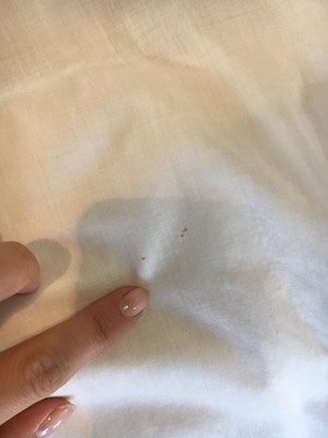 Lot 68 - A rare white cotton sporting petticoat, English, circa 1810