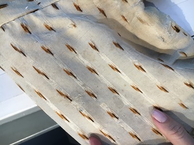 Lot 29 - A clouded satin-striped poplin over dress and a muslin gown, circa 1805