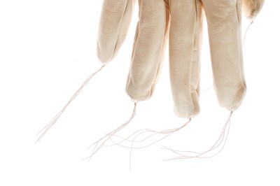 Lot 213 - A group of Carol Christian Poell prosthetic and nine-fingered leather gloves, circa 2010