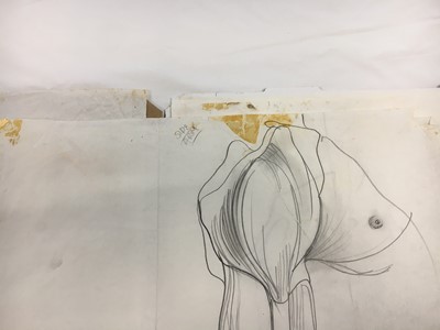 Lot 199 - Julie Verhoeven for John Galliano anatomical drawings and fashion illustrations for A/W 1990-91 and S/S 1991