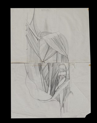Lot 199 - Julie Verhoeven for John Galliano anatomical drawings and fashion illustrations for A/W 1990-91 and S/S 1991