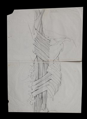 Lot 199 - Julie Verhoeven for John Galliano anatomical drawings and fashion illustrations for A/W 1990-91 and S/S 1991