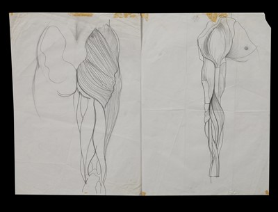 Lot 199 - Julie Verhoeven for John Galliano anatomical drawings and fashion illustrations for A/W 1990-91 and S/S 1991