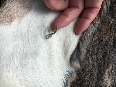 Lot 16 - A Gucci by Tom Ford men's reversible rabbit and pygmy goat fur coat, Autumn-Winter 1999-2000