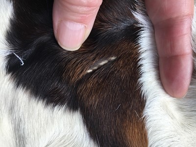 Lot 16 - A Gucci by Tom Ford men's reversible rabbit and pygmy goat fur coat, Autumn-Winter 1999-2000