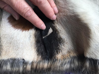 Lot 16 - A Gucci by Tom Ford men's reversible rabbit and pygmy goat fur coat, Autumn-Winter 1999-2000