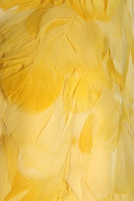 Lot 63 - Jerry Hall's Antony Price 'chicken' dress,...