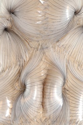 Lot 347 - Bjrk's Iris van Herpen couture iridescent...