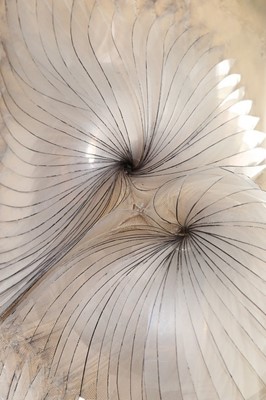 Lot 347 - Bjrk's Iris van Herpen couture iridescent...