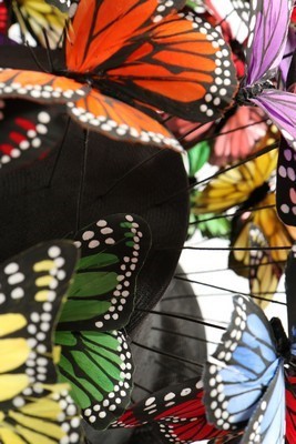 Lot 292 - A Philip Treacy painted feather 'butterfly'...