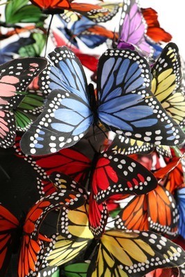 Lot 292 - A Philip Treacy painted feather 'butterfly'...