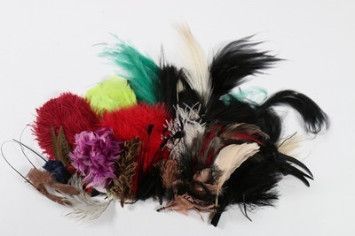Lot 185 - A group of exotic feather hat ornaments, silk...
