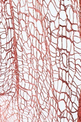 Lot 306 - A coral pink spider-web lace and chiffon...