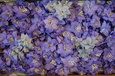 Lot 243 - Five boxes of silk flowers sprays and posies,...