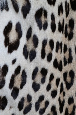 Lot 162 - A Dior couture leopard and arctic fox cape,...