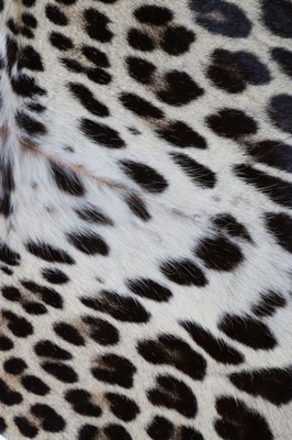 Lot 70 - A Paquin leopard skin stole, 1924, narrow...
