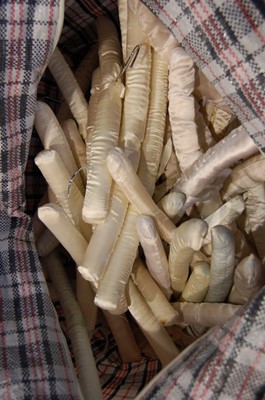 Lot 337 - A large bag of ivory padded hangers (qty)